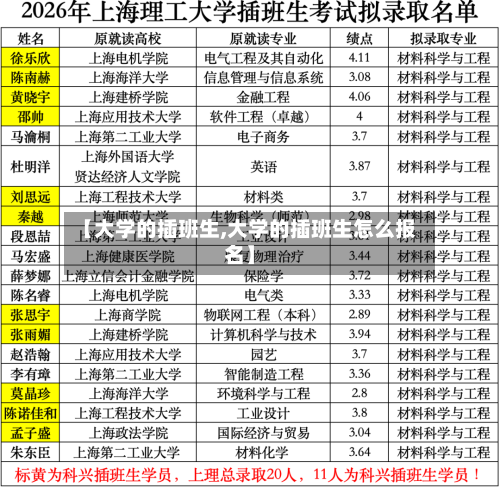 【大学的插班生,大学的插班生怎么报名】