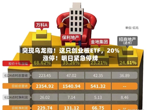 突现乌龙指！这只创业板ETF	，20%涨停！明日紧急停牌-第2张图片