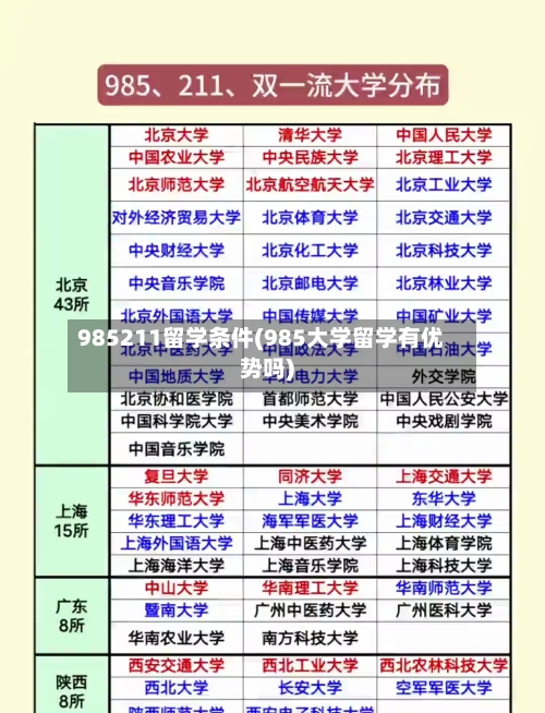 985211留学条件(985大学留学有优势吗)-第3张图片