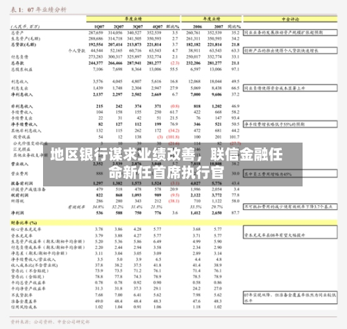 地区银行谋求业绩改善，联信金融任命新任首席执行官