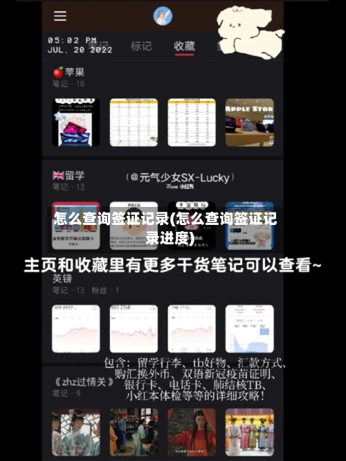 怎么查询签证记录(怎么查询签证记录进度)-第2张图片