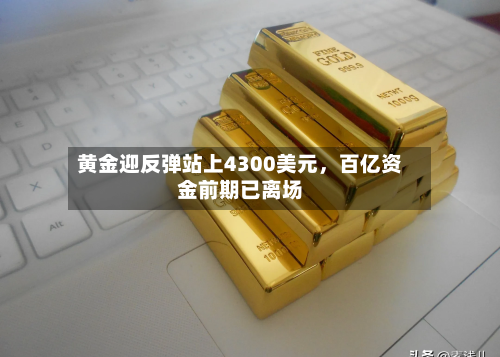 黄金迎反弹站上4300美元	，百亿资金前期已离场-第3张图片