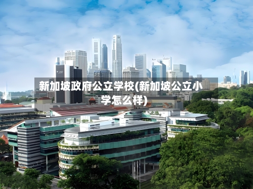 新加坡政府公立学校(新加坡公立小学怎么样)-第3张图片