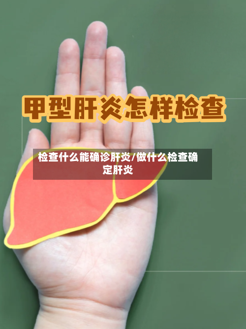 检查什么能确诊肝炎/做什么检查确定肝炎-第2张图片