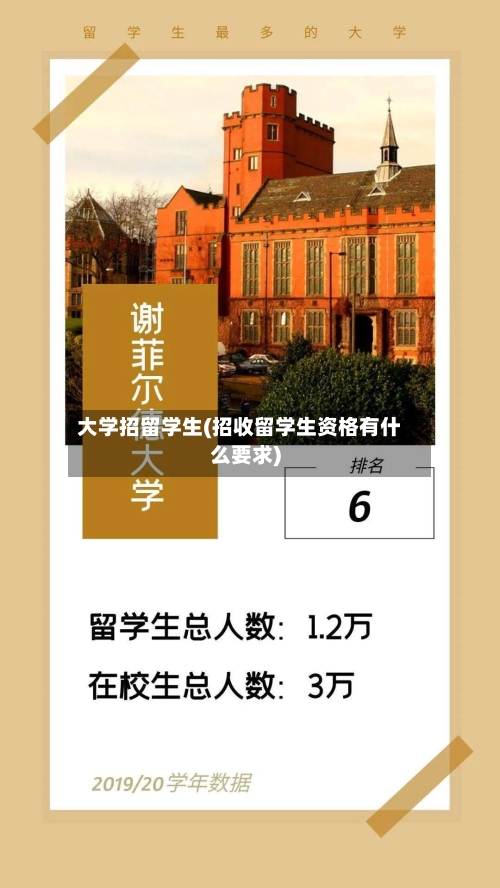 大学招留学生(招收留学生资格有什么要求)