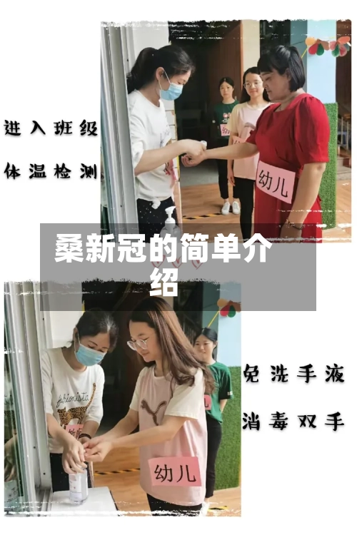 桑新冠的简单介绍