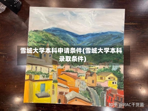 雪城大学本科申请条件(雪城大学本科录取条件)-第2张图片