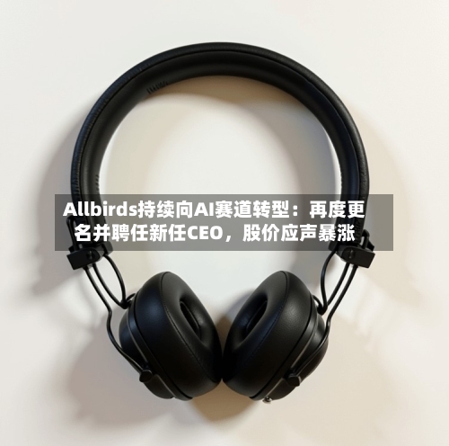 Allbirds持续向AI赛道转型:再度更名并聘任新任CEO,股价应声暴涨