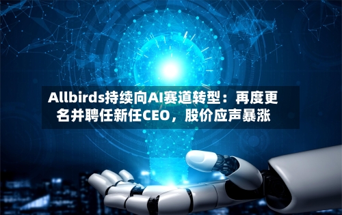 Allbirds持续向AI赛道转型：再度更名并聘任新任CEO，股价应声暴涨-第2张图片
