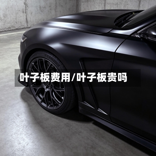叶子板费用/叶子板贵吗