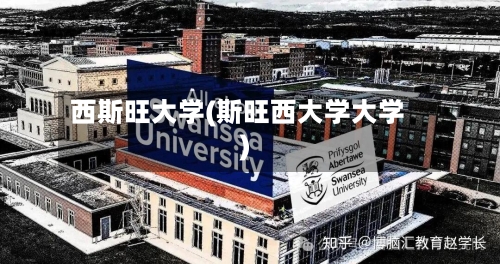西斯旺大学(斯旺西大学大学)