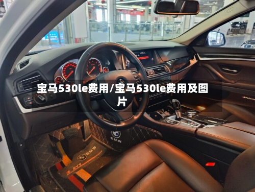 宝马530le费用/宝马530le费用及图片