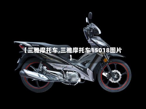 【三雅摩托车,三雅摩托车15018图片】