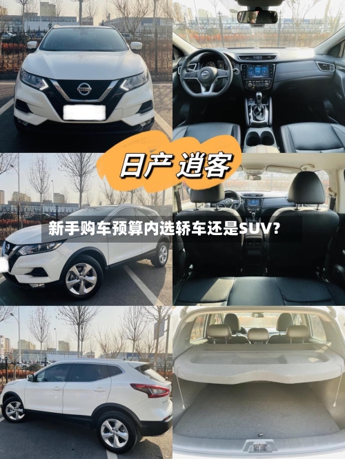 新手购车预算内选轿车还是SUV?-第2张图片