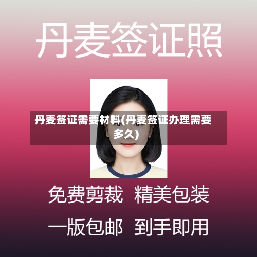 丹麦签证需要材料(丹麦签证办理需要多久)