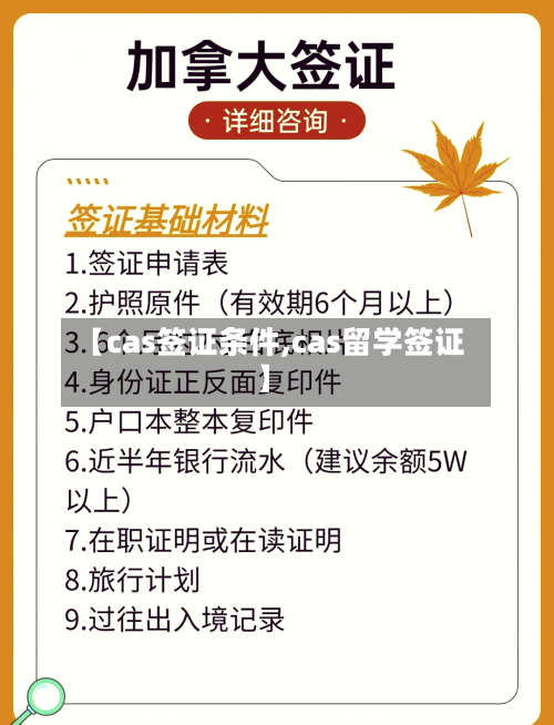 【cas签证条件,cas留学签证】-第2张图片