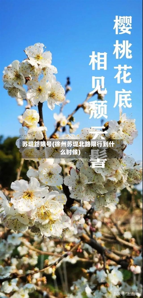 苏堤路限号(徐州苏堤北路限行到什么时候)