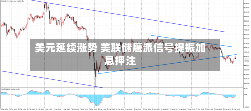 美元延续涨势 美联储鹰派信号提振加息押注-第2张图片
