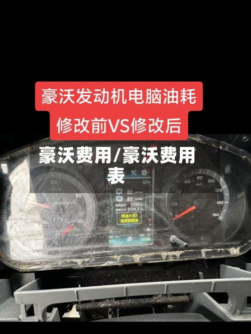 豪沃费用/豪沃费用表-第3张图片
