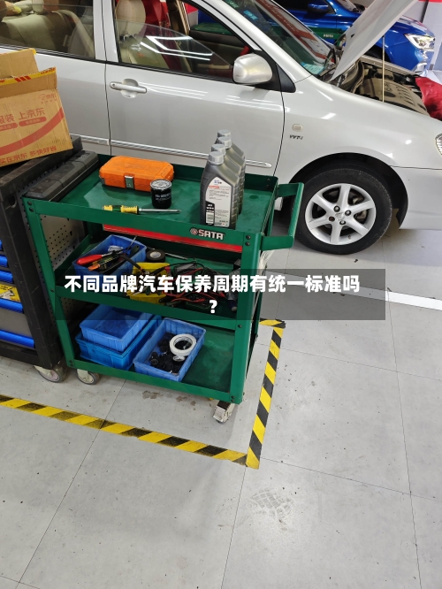 不同品牌汽车保养周期有统一标准吗？-第3张图片