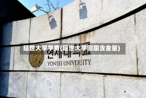 延世大学学费(延世大学回国含金量)-第2张图片