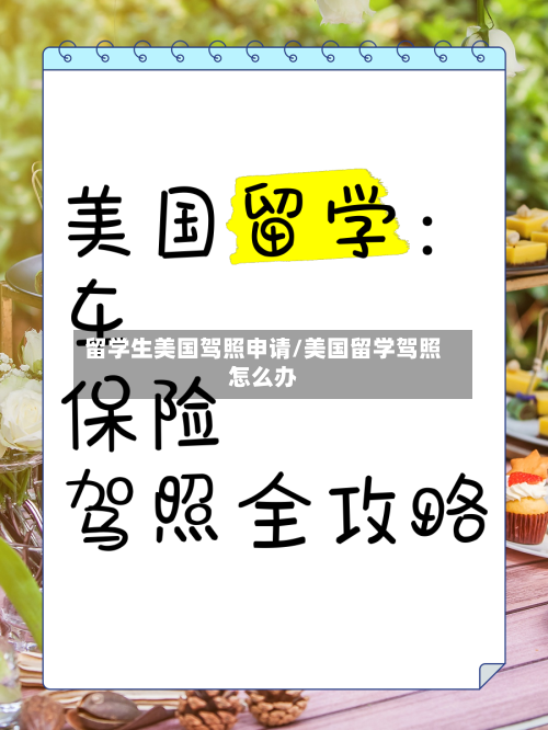留学生美国驾照申请/美国留学驾照怎么办-第3张图片