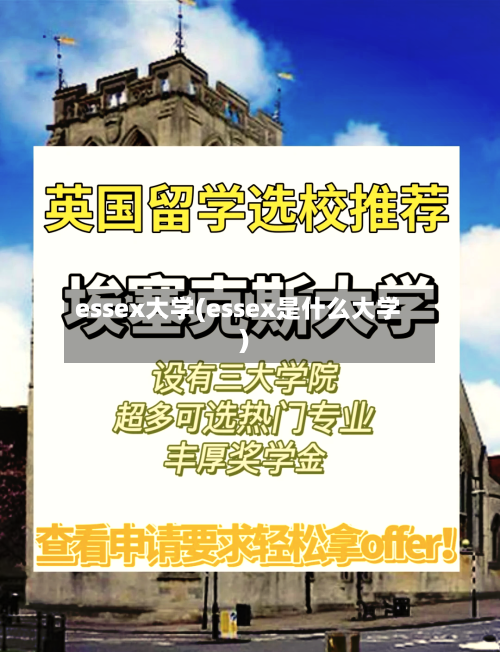 essex大学(essex是什么大学)