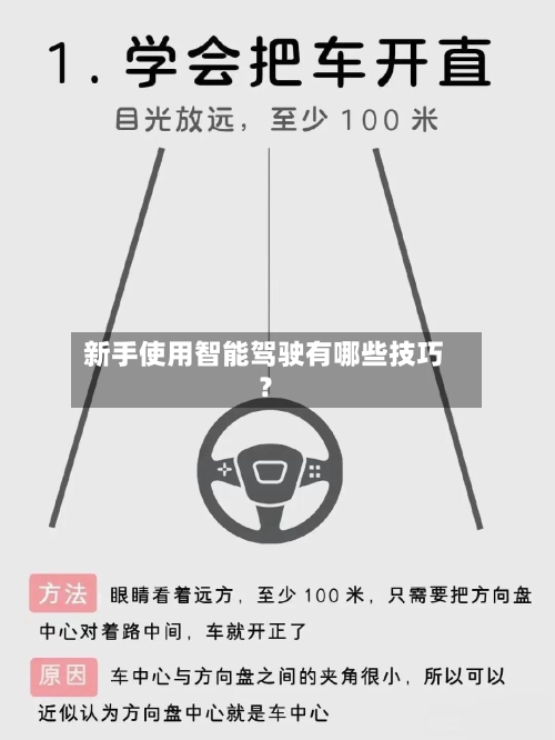 新手使用智能驾驶有哪些技巧?