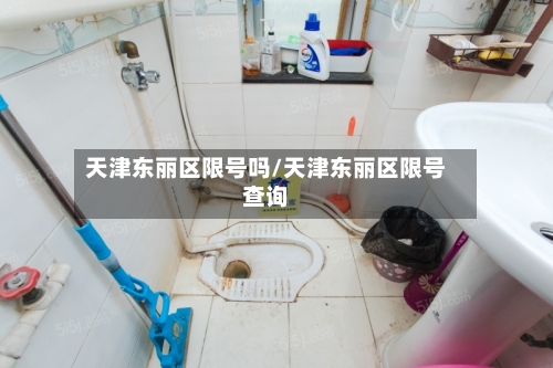 天津东丽区限号吗/天津东丽区限号查询-第3张图片