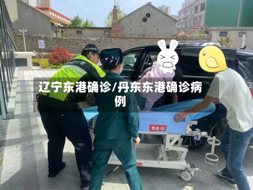 辽宁东港确诊/丹东东港确诊病例