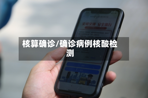 核算确诊/确诊病例核酸检测