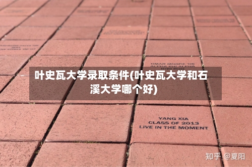 叶史瓦大学录取条件(叶史瓦大学和石溪大学哪个好)-第2张图片