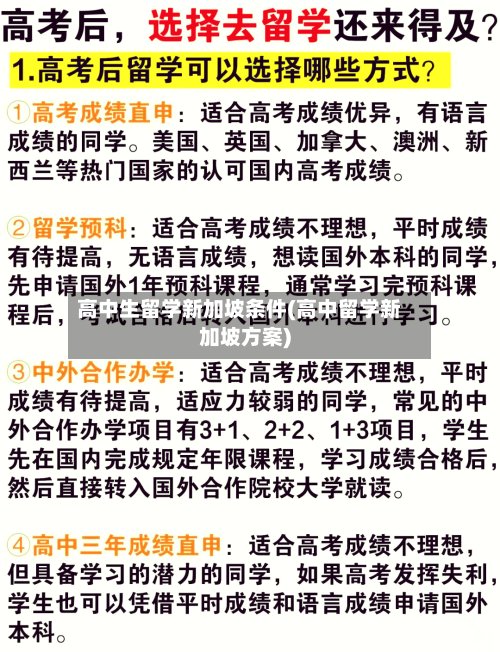 高中生留学新加坡条件(高中留学新加坡方案)