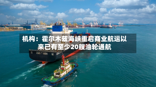 机构:霍尔木兹海峡重启商业航运以来已有至少20艘油轮通航-第1张图片