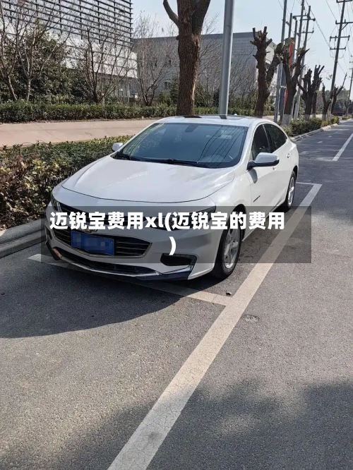 迈锐宝费用xl(迈锐宝的费用)