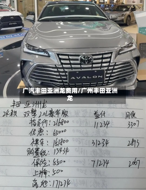 广汽丰田亚洲龙费用/广州丰田亚洲龙-第2张图片