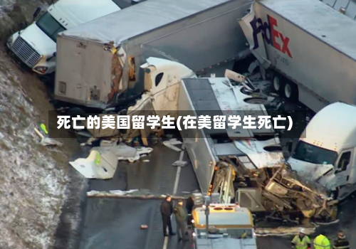 死亡的美国留学生(在美留学生死亡)-第2张图片