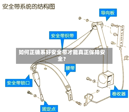 如何正确系好安全带才能真正保障安全？-第2张图片