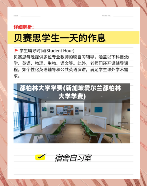 都柏林大学学费(新加坡爱尔兰都柏林大学学费)-第2张图片