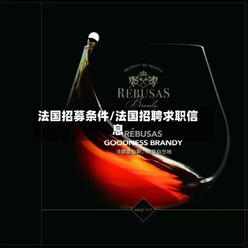 法国招募条件/法国招聘求职信息-第2张图片