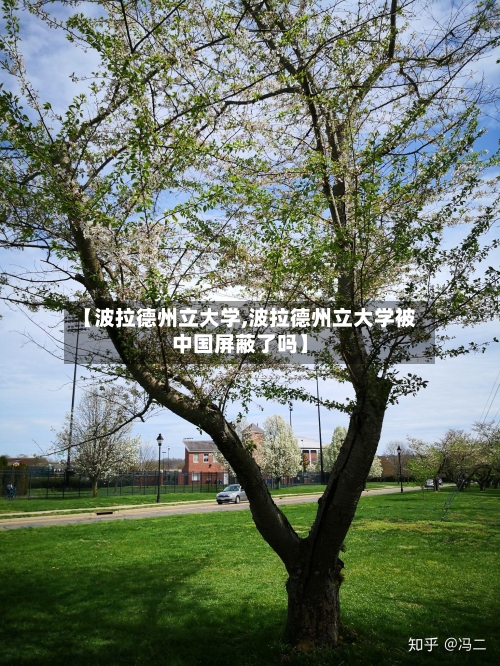 【波拉德州立大学,波拉德州立大学被中国屏蔽了吗】-第2张图片