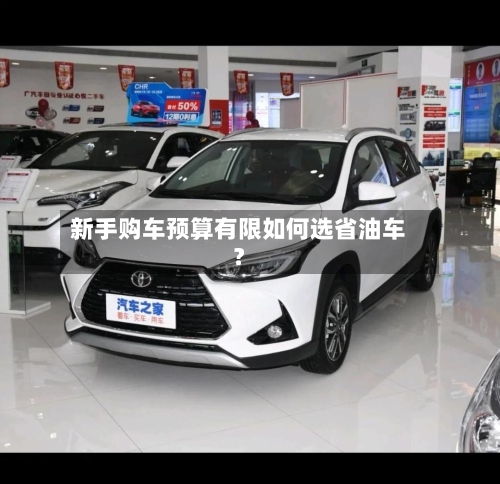 新手购车预算有限如何选省油车?-第3张图片