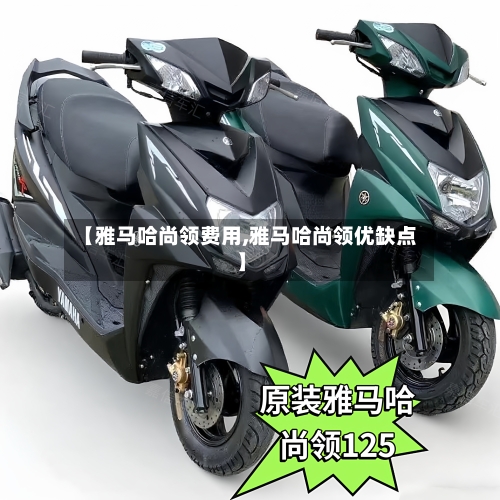 【雅马哈尚领费用,雅马哈尚领优缺点】