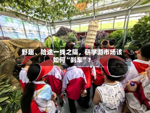 野趣、险途一线之隔，研学游市场该如何“刹车”？-第2张图片