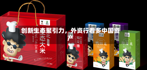 创新生态聚引力，外资行看多中国资产-第3张图片