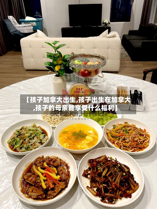 【孩子加拿大出生,孩子出生在加拿大,孩子的母亲能享受什么福利】-第3张图片