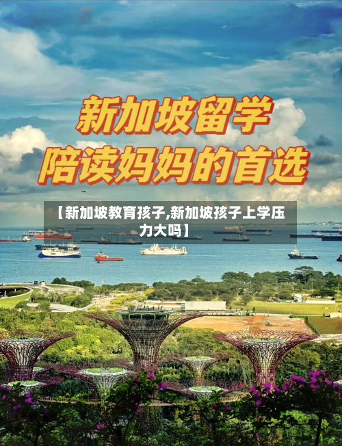 【新加坡教育孩子,新加坡孩子上学压力大吗】-第2张图片