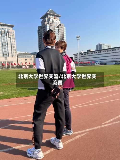 北京大学世界交流/北京大学世界交流赛-第3张图片