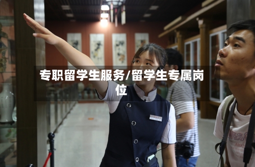 专职留学生服务/留学生专属岗位