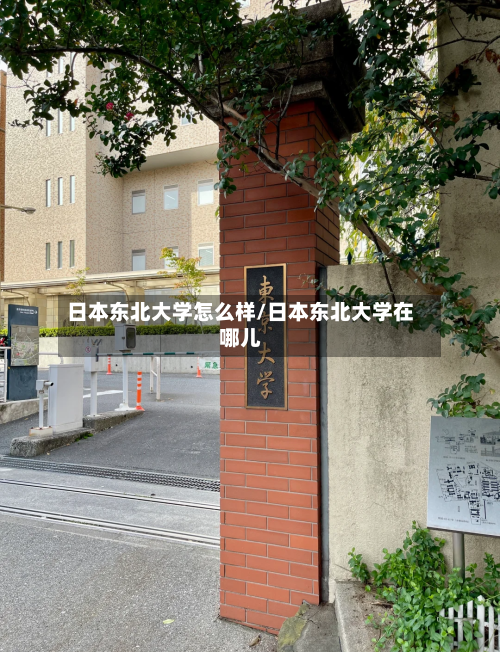 日本东北大学怎么样/日本东北大学在哪儿